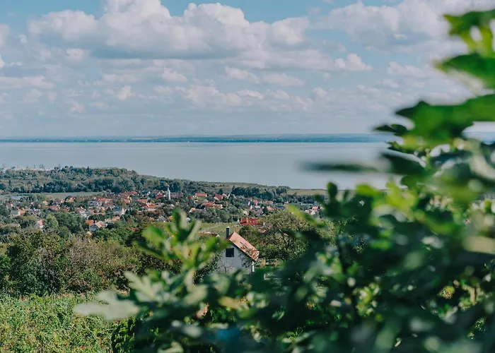 Hegyi Fuege Vendeghaz Σπίτι διακοπών *