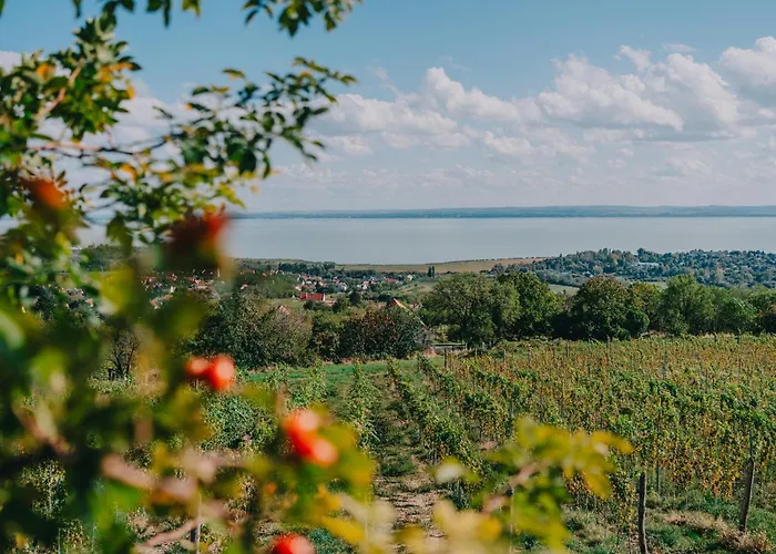 Hegyi Fuege Vendeghaz Csopak